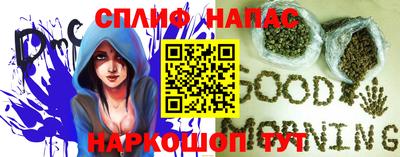 дживик Кимры