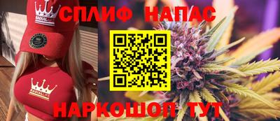 спиды Кинель