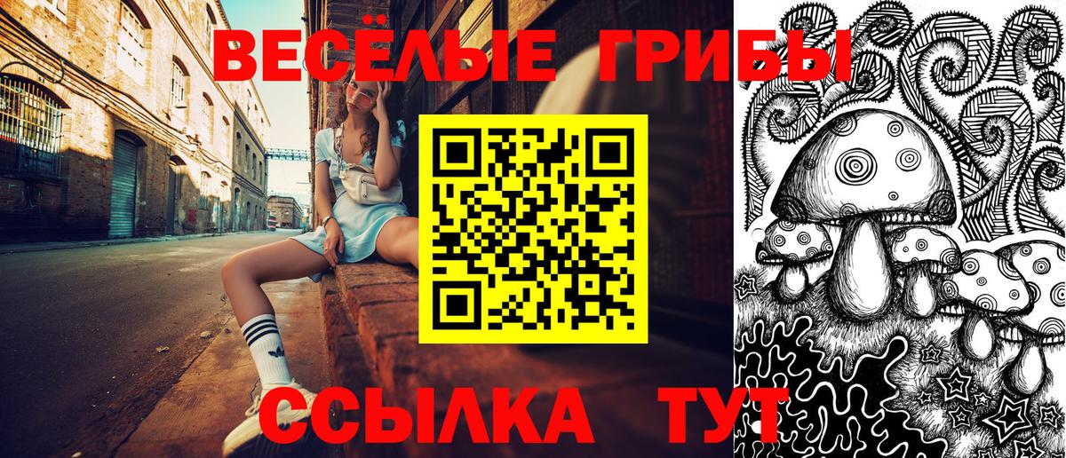 Псилоцибиновые грибы ЛСД Касимов