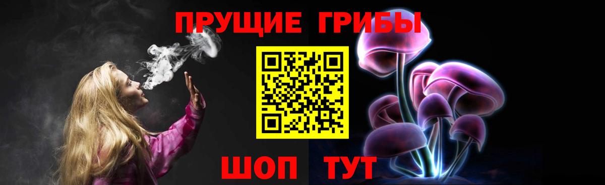 Касимов  Галлюциногенные грибы Cubensis  Вход с VPN 